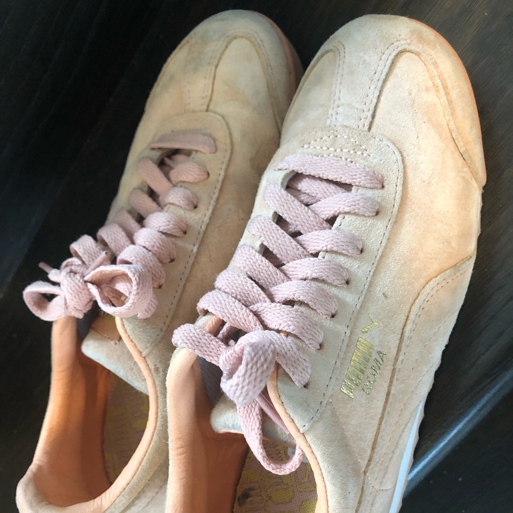 Pumas